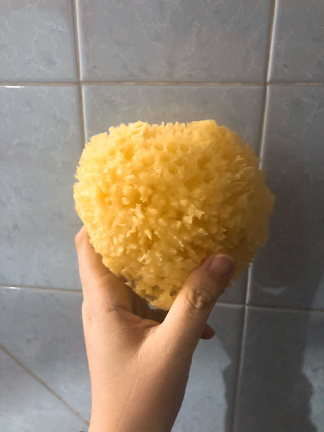 모공관리 끝 지중해산 천연해면 바디스펀지 리뷰 사진