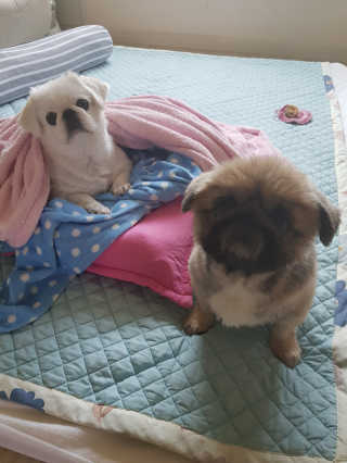 류혜미님이 올린 리뷰 사진 2