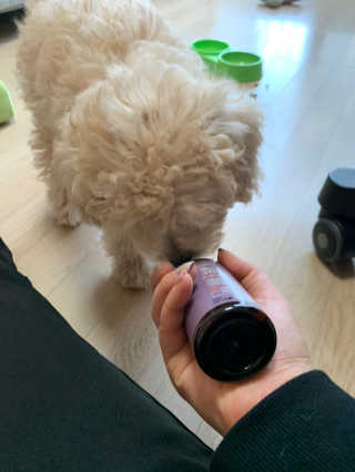 leah님이 올린 리뷰 사진 3