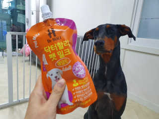 닥터할리펫밀크 8종 — 4.5점을 준 리뷰어가 2020년 1월 올린 사용 사진