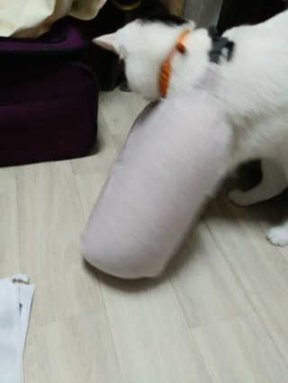 SeulonPark님이 올린 리뷰 사진 2