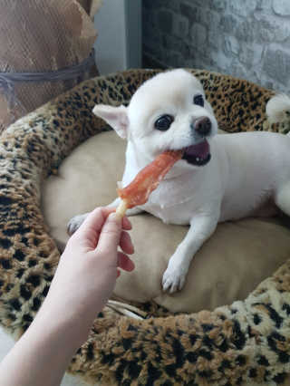 소원이나라님이 올린 리뷰 사진 4