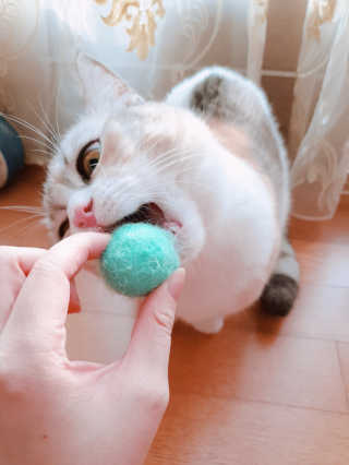 쿠쿠밍님이 올린 리뷰 사진 4