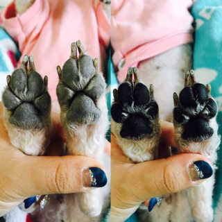 mmmmjjjjj님이 올린 리뷰 사진 1