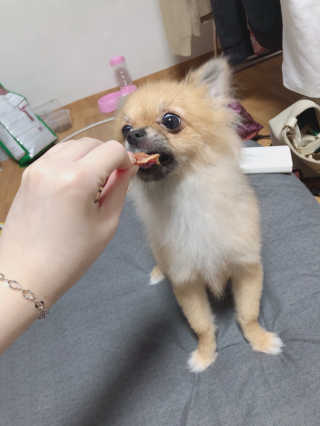 냠콩님이 올린 리뷰 사진 3