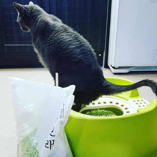 김반장님이 올린 리뷰 사진 3