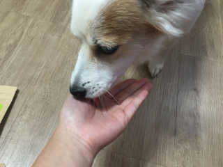 다니킴님이 올린 리뷰 사진 3