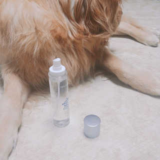 아보카도올리브님이 올린 리뷰 사진 2