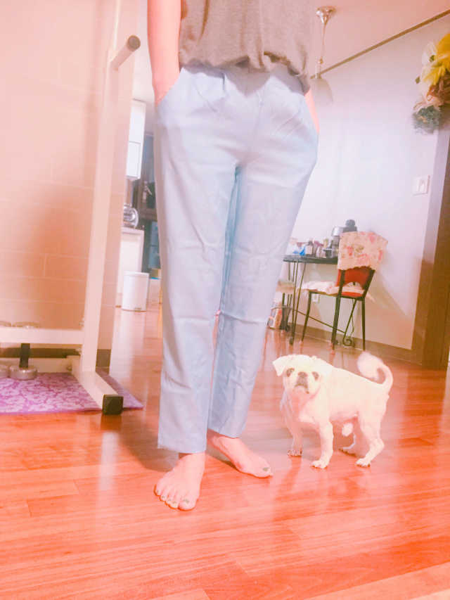 메르시 슬랙스 리뷰 사진