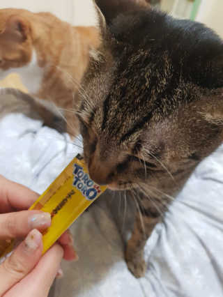 이용재님이 올린 리뷰 사진 3