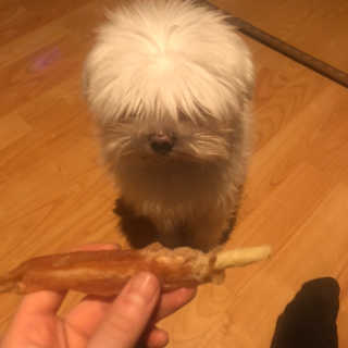 다뚠님이 올린 리뷰 사진 4