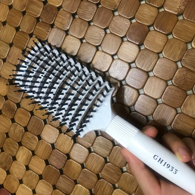 GH1933 벨루스 보어 브리슬 브러쉬 리뷰 사진
