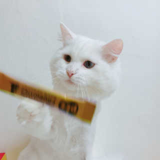 공실이님이 올린 리뷰 사진 2