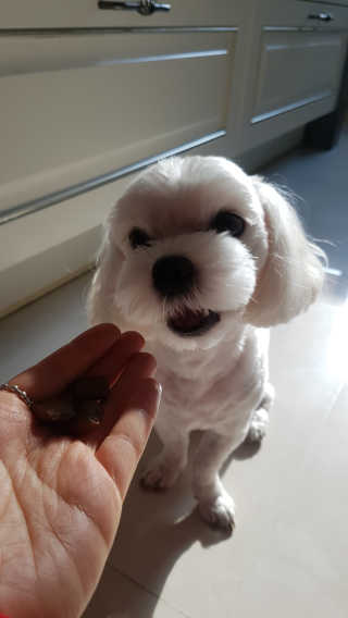 보나님이 올린 리뷰 사진 2