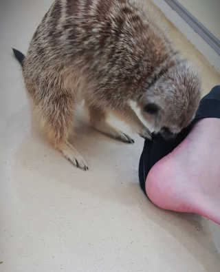 김뺩뺘님이 올린 리뷰 사진 1