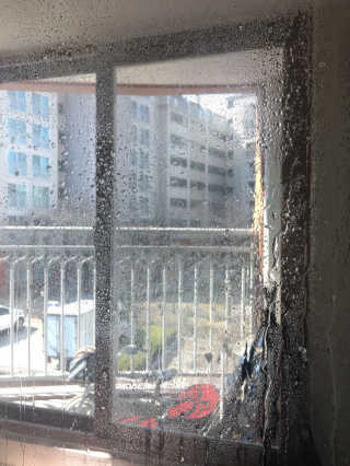 graymatter님이 올린 리뷰 사진 2