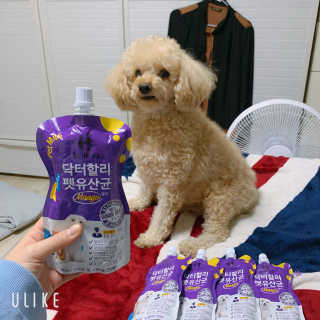 닥터할리펫밀크 8종 — 4점을 준 리뷰어가 2019년 11월 올린 사용 사진