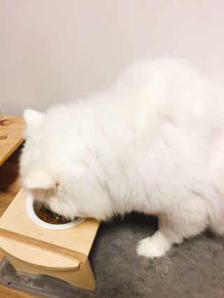 듀님이 올린 리뷰 사진 2