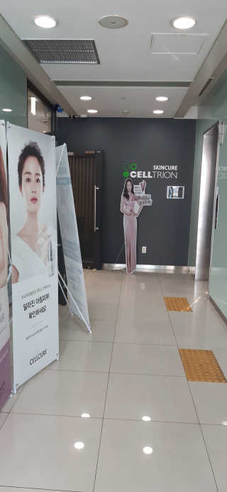 김푸들님이 올린 리뷰 사진 1