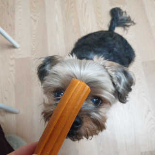 Rooloo님이 올린 리뷰 사진 3