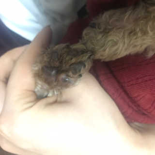 안해진님이 올린 리뷰 사진 4