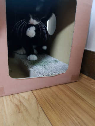 정이님이 올린 리뷰 사진 4