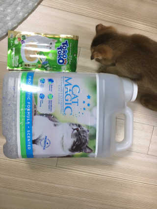 Zoe님이 올린 리뷰 사진 1