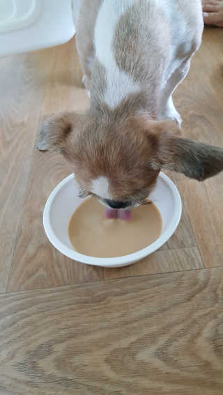 기룡이님이 올린 리뷰 사진 2