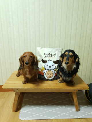 [펫토리아] 맛도 영양도 BEST 한끼뚝딱 강아지 사료 — 5점을 준 리뷰어가 2019년 4월 올린 사용 사진