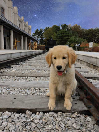 큐티윤님이 올린 리뷰 사진 4