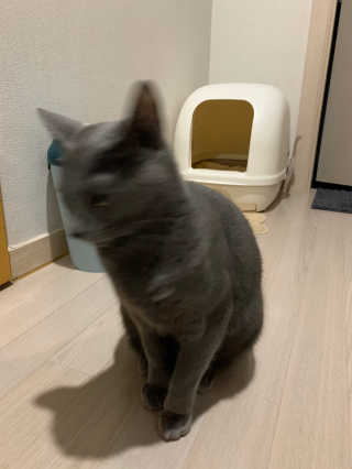 플로리아님이 올린 리뷰 사진 3