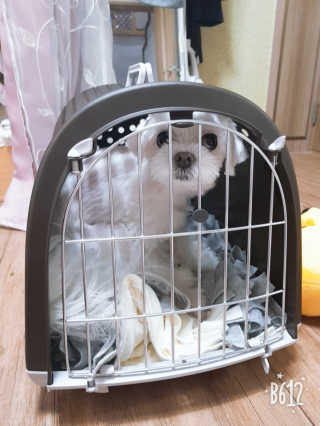 뽀오오옹님이 올린 리뷰 사진 3