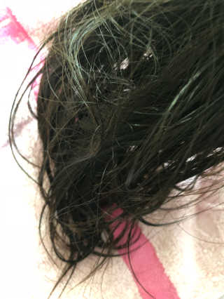 EarlyParrot님이 올린 리뷰 사진 2