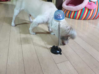 sdisksi님이 올린 리뷰 사진 4