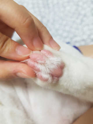 핸쑤님이 올린 리뷰 사진 2