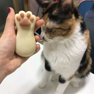 예콩님이 올린 리뷰 사진 3