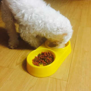 김가영님이 올린 리뷰 사진 3