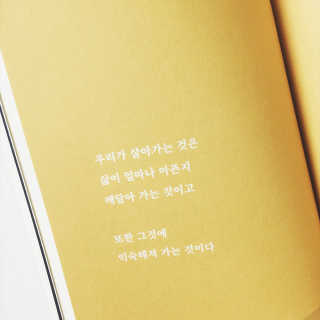 빠다님이 올린 리뷰 사진 4