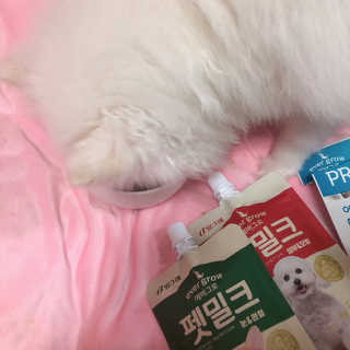 [빙그레] 에버그로 생유산균 1봉（10포입）+펫밀크2팩 — 5점을 준 리뷰어가 2019년 5월 올린 사용 사진