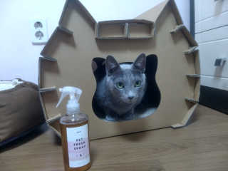 momomom님이 올린 리뷰 사진 1
