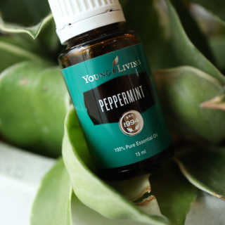 두랭님이 올린 리뷰 사진 3