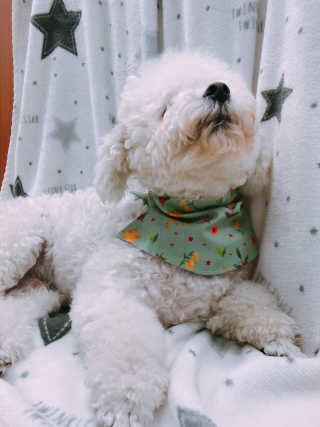 도리니님이 올린 리뷰 사진 2