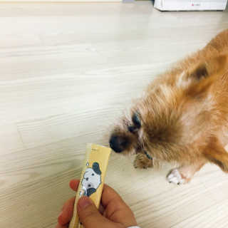 [펫토리아] 강아지,고양이겸용 짜먹는 한입뚝딱 — 5점을 준 리뷰어가 2019년 1월 올린 사용 사진