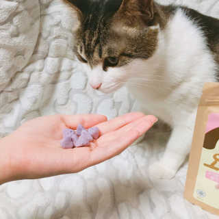 발미나님이 올린 리뷰 사진 4
