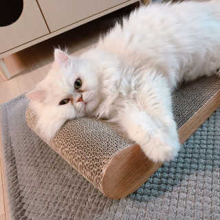 옘둥님이 올린 리뷰 사진 4