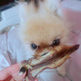 Honeyshop님이 올린 리뷰 사진 3