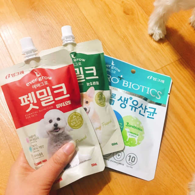 [빙그레] 에버그로 생유산균 1봉（10포입）+펫밀크2팩 리뷰 사진
