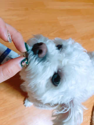 썸이님이 올린 리뷰 사진 3