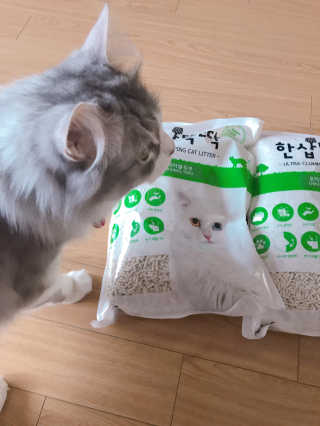 [펫토리아] BEST 고양이두부모래 6L 한삽뚝딱 — 4점을 준 리뷰어가 2019년 2월 올린 사용 사진