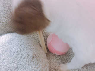 아따아따단비님이 올린 리뷰 사진 2